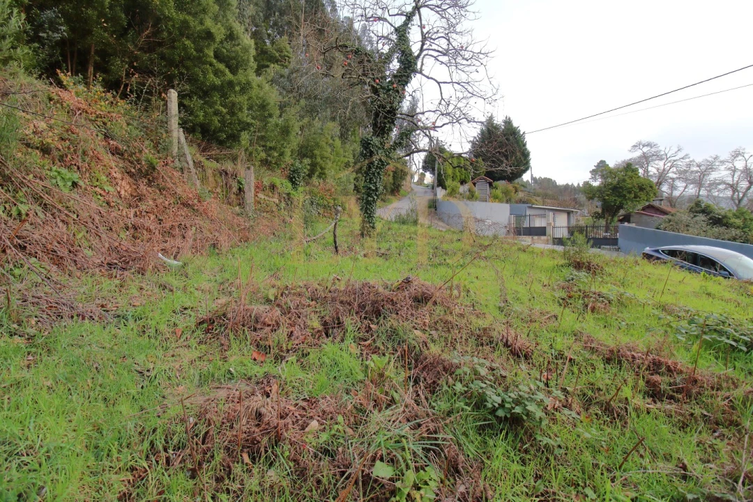 Moradia T2 para Venda em São Martinho de Sardoura Foto 22