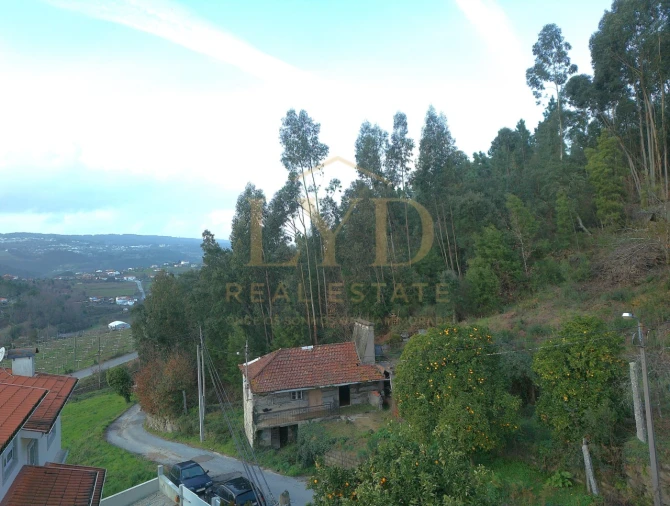 Moradia T2 para Venda em São Martinho de Sardoura Foto 2