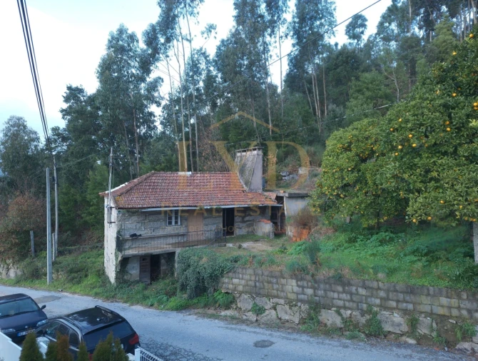 Moradia T2 para Venda em São Martinho de Sardoura Foto 4