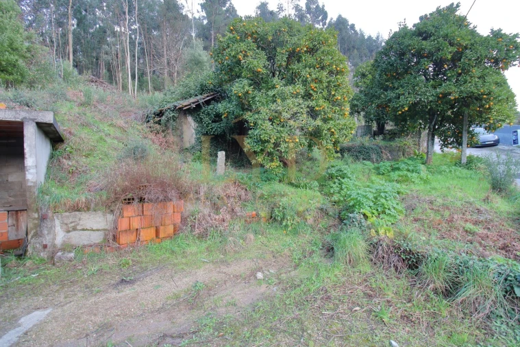 Moradia T2 para Venda em São Martinho de Sardoura Foto 15