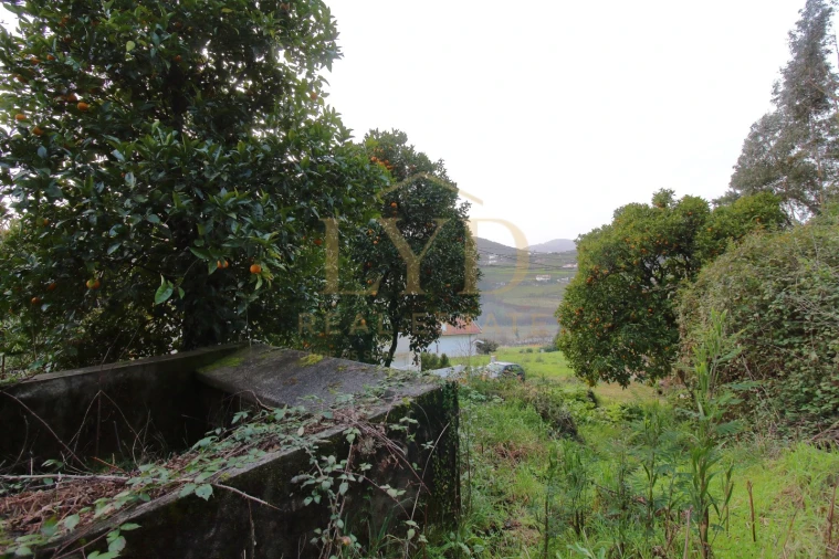 Moradia T2 para Venda em São Martinho de Sardoura Foto 17