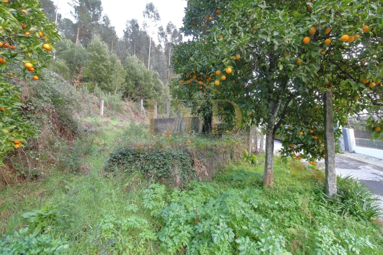 Moradia T2 para Venda em São Martinho de Sardoura Foto 18