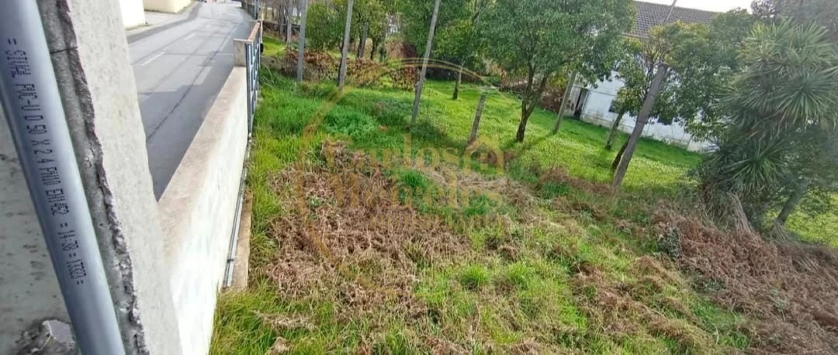 Terreno para Venda em Amares e Figueiredo Foto 3
