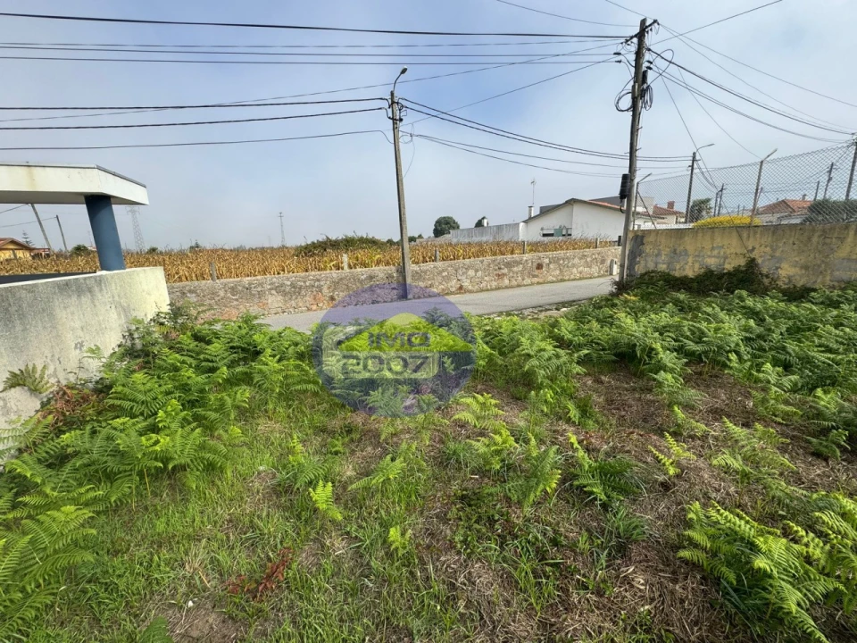 Terreno para Venda em Paramos Foto 17