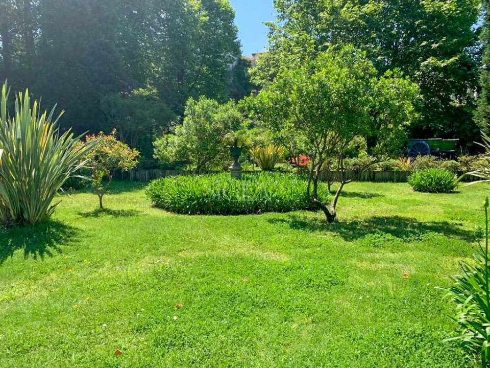 Quinta T10 para Venda em Gulpilhares e Valadares Foto 13