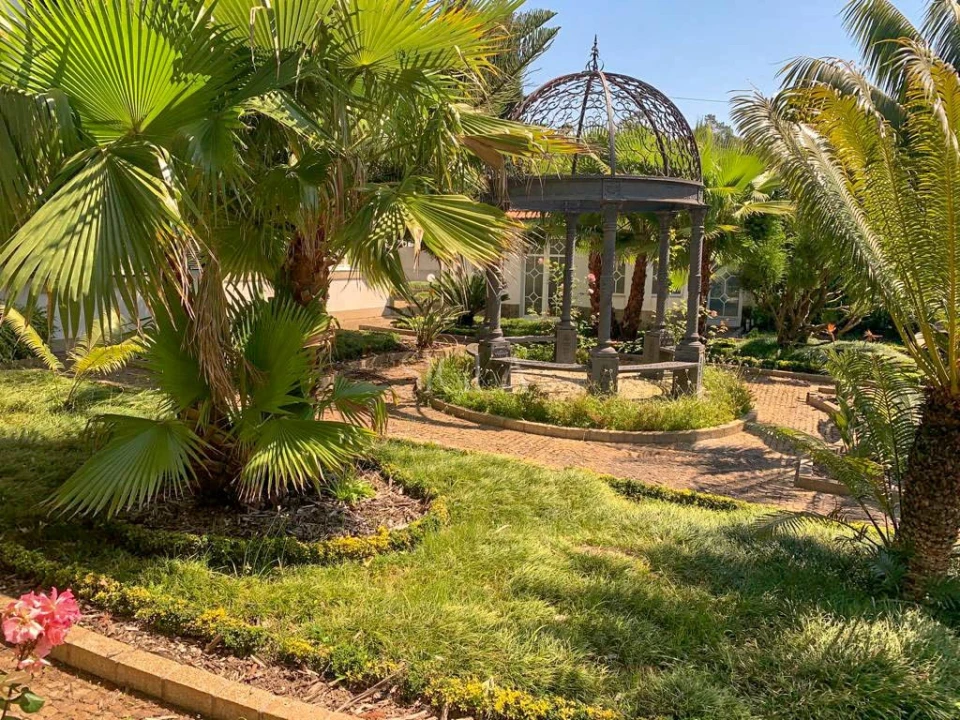 Quinta T10 para Venda em Gulpilhares e Valadares Foto 23