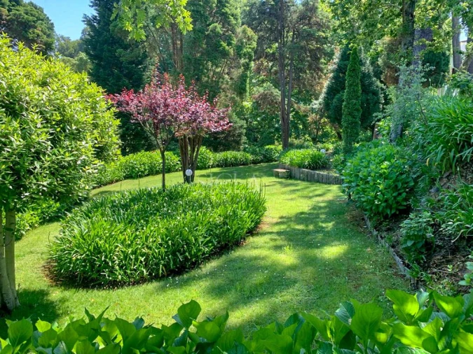 Quinta T10 para Venda em Gulpilhares e Valadares Foto 25