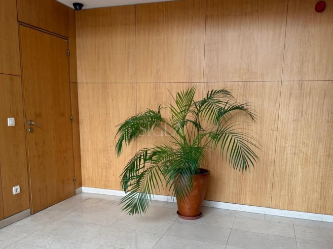 Apartamento T2 para Arrendamento em Santa Marinha e São Pedro da Afurada Foto 15