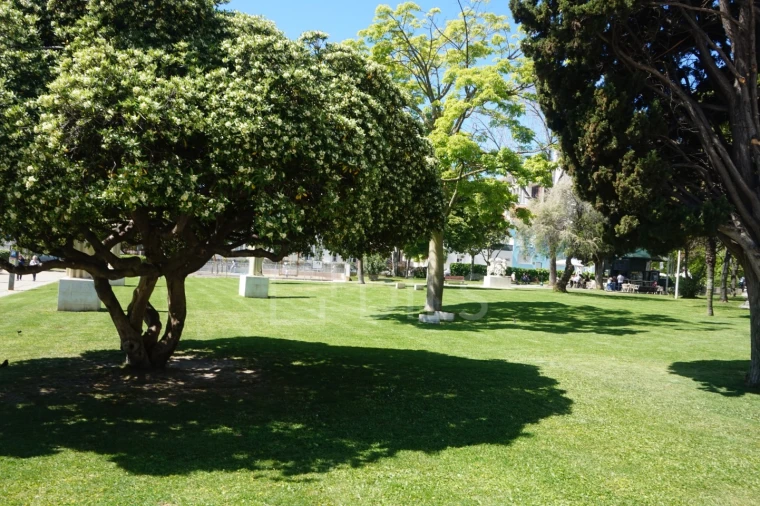 Apartamento T2 para Venda em Alvalade Foto 18