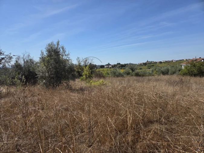 Terreno para Venda em Carvalhal Redondo e Aguieira Foto 4