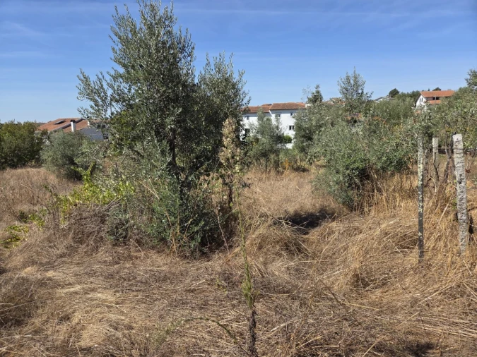 Terreno para Venda em Carvalhal Redondo e Aguieira Foto 5