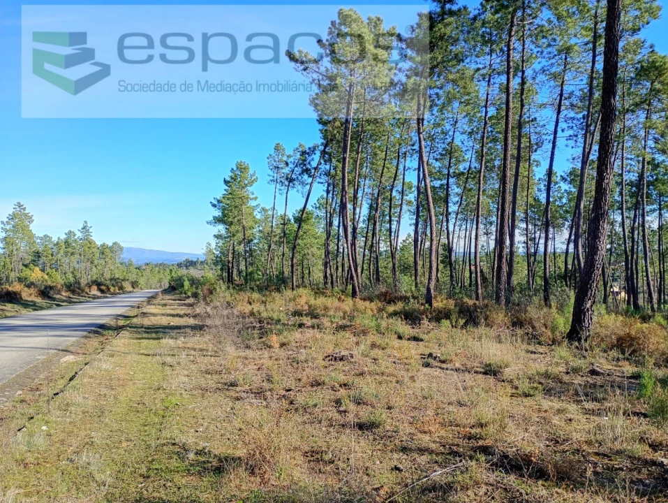 Terreno para Venda em Sarzedas Foto 9