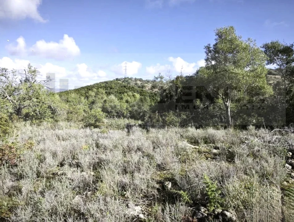 Terreno para Venda em Algoz e Tunes Foto 5