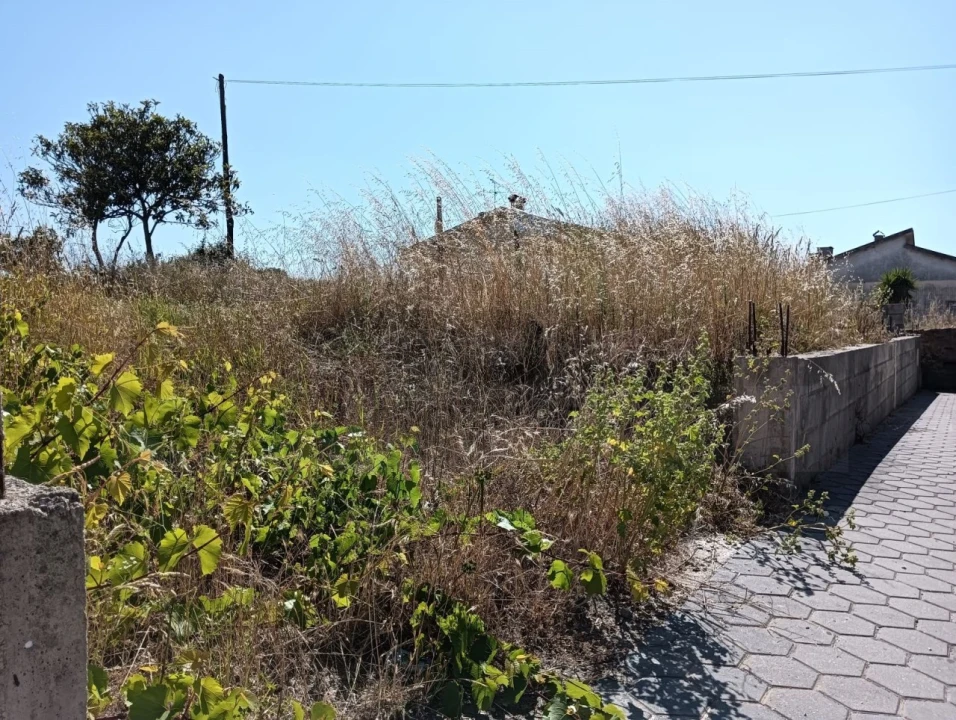 Terreno para Venda em Canelas e Fermelã Foto 1