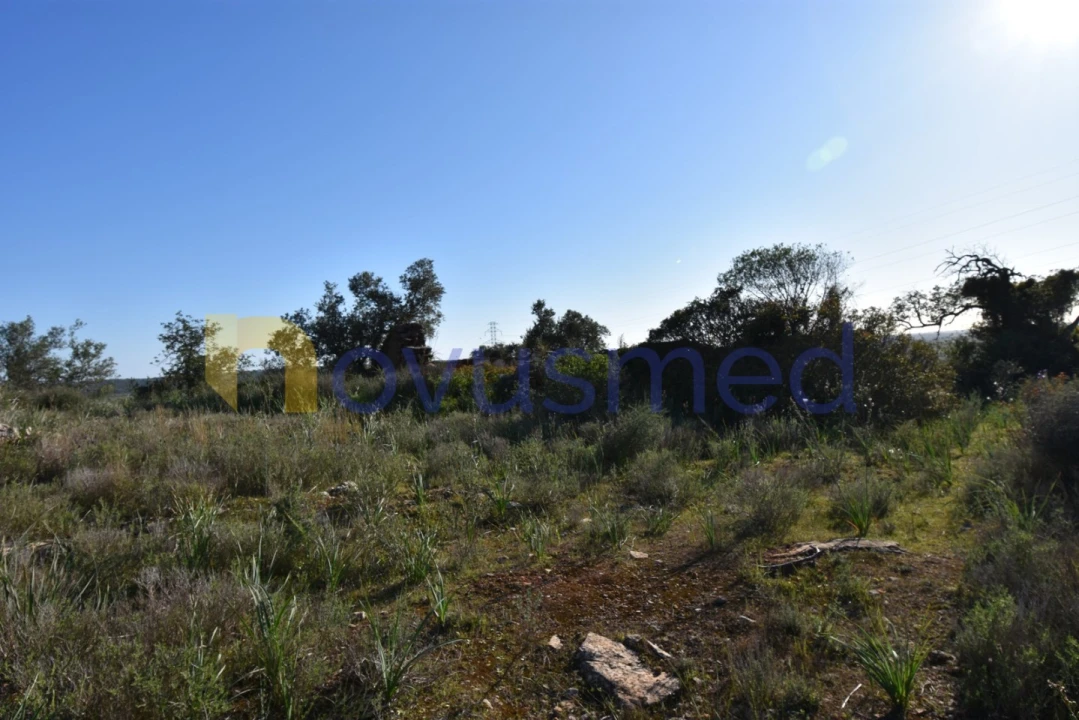 Quinta T2 para Venda em Algoz e Tunes Foto 9