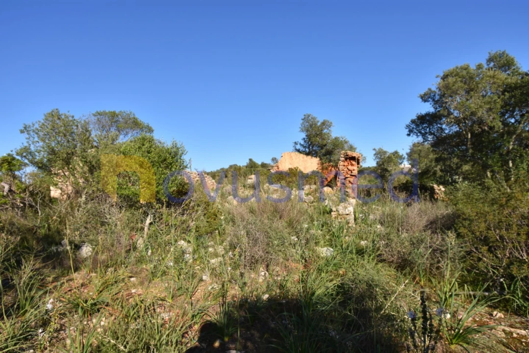 Quinta T2 para Venda em Algoz e Tunes Foto 11