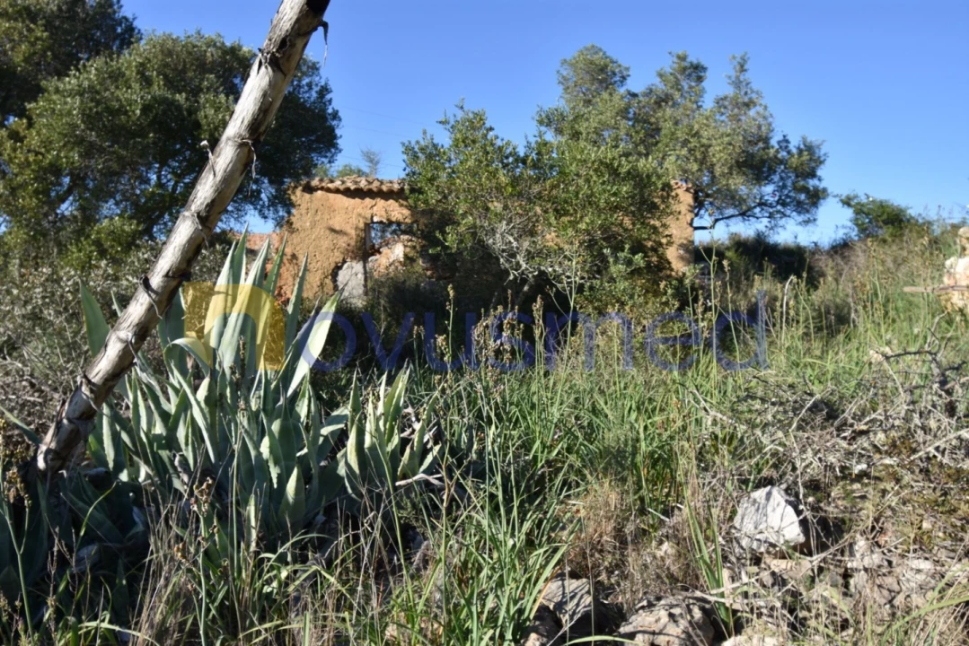 Quinta T2 para Venda em Algoz e Tunes Foto 13