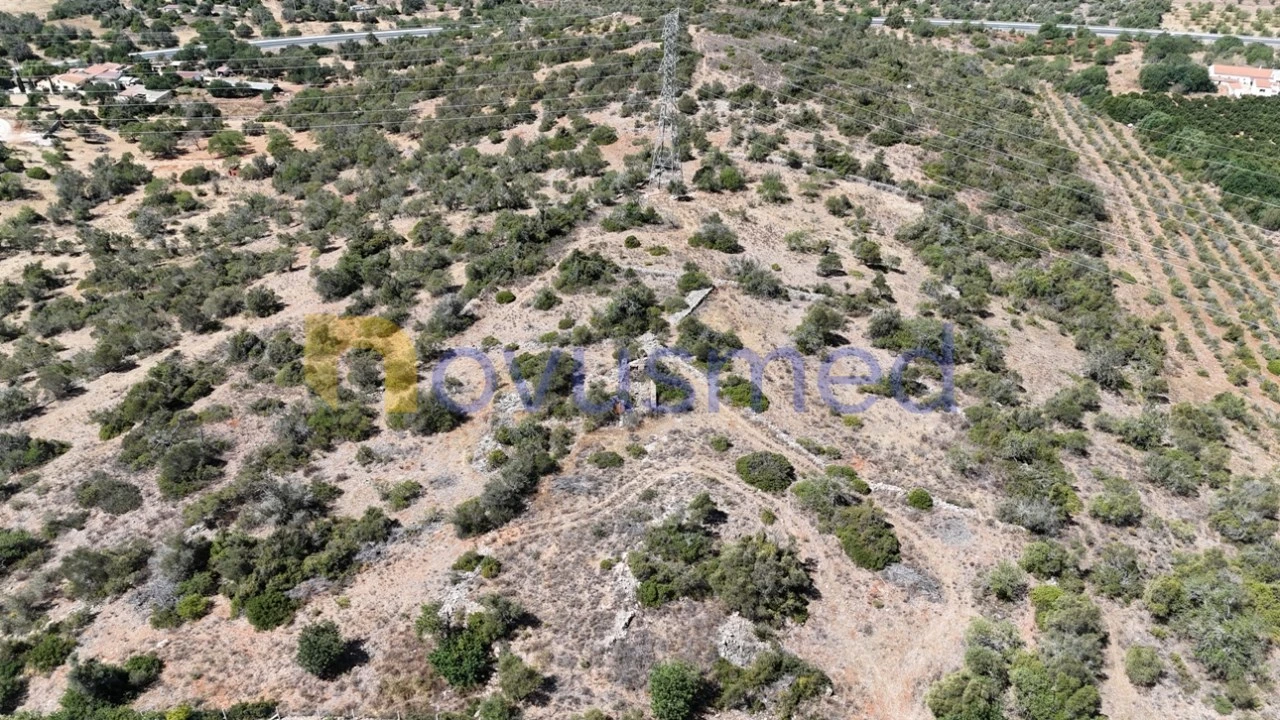 Quinta T2 para Venda em Algoz e Tunes Foto 5