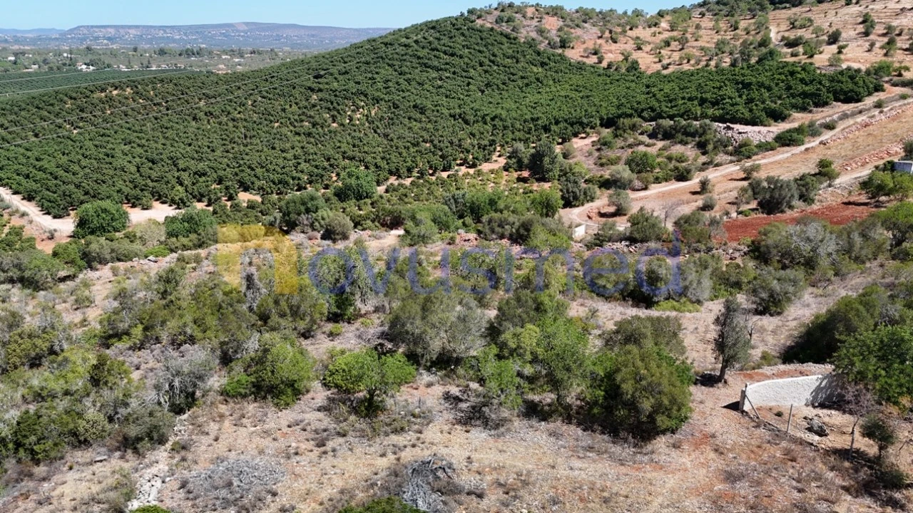 Quinta T2 para Venda em Algoz e Tunes Foto 21