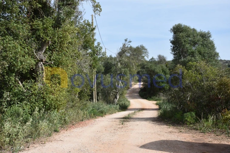 Quinta T2 para Venda em Algoz e Tunes Foto 8