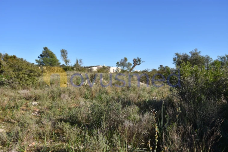 Quinta T2 para Venda em Algoz e Tunes Foto 10