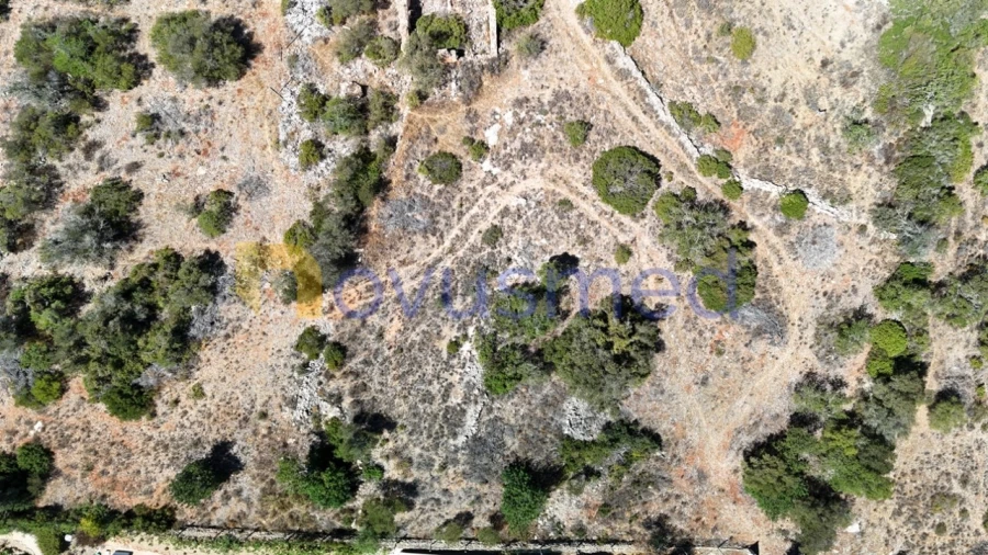 Quinta T2 para Venda em Algoz e Tunes Foto 6