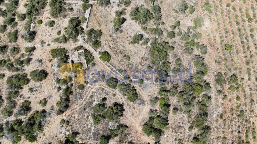 Quinta T2 para Venda em Algoz e Tunes Foto 14