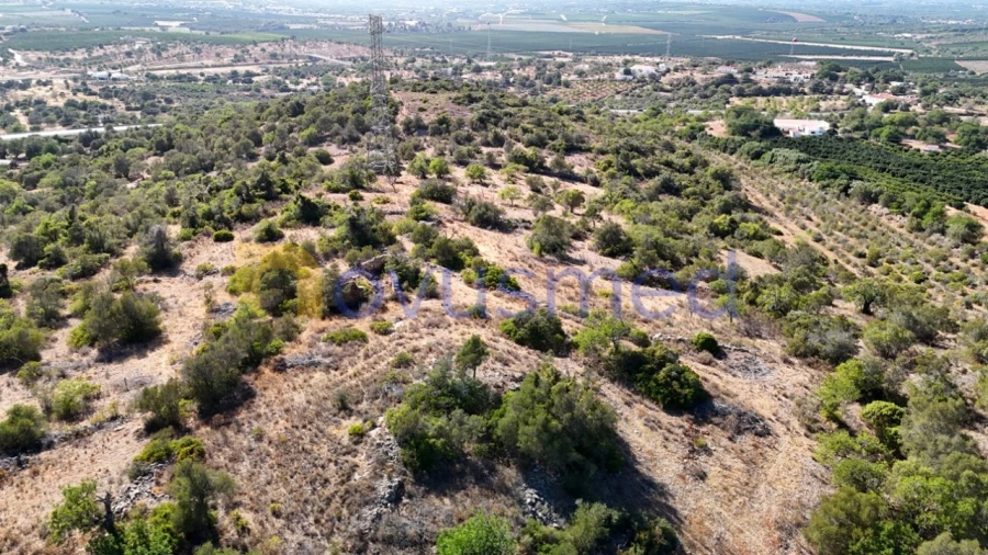 Quinta T2 para Venda em Algoz e Tunes Foto 27