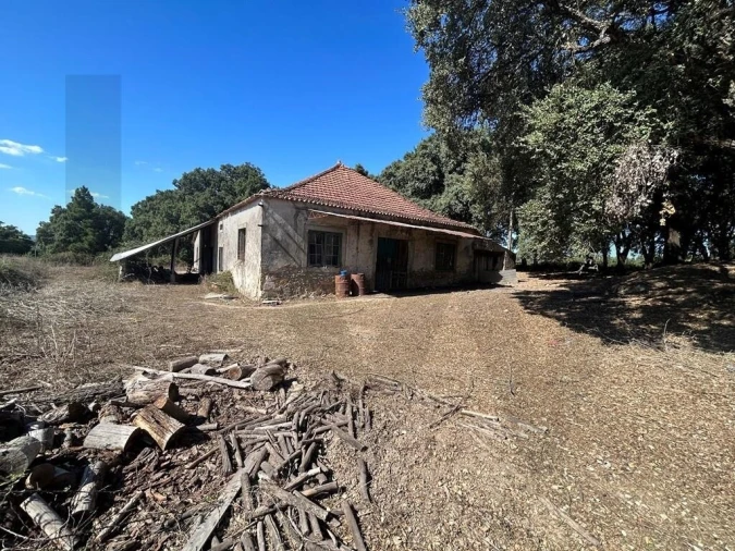 Terreno para Venda em Pedrogão Grande Foto 3
