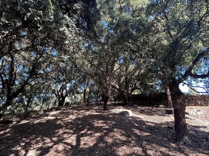 Terreno para Venda em Pedrogão Grande Foto 10