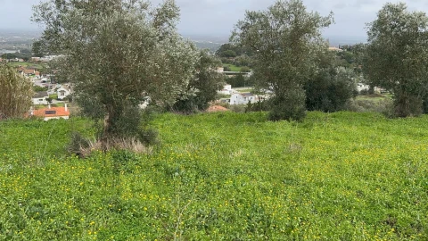 Terreno para Venda em Palmela