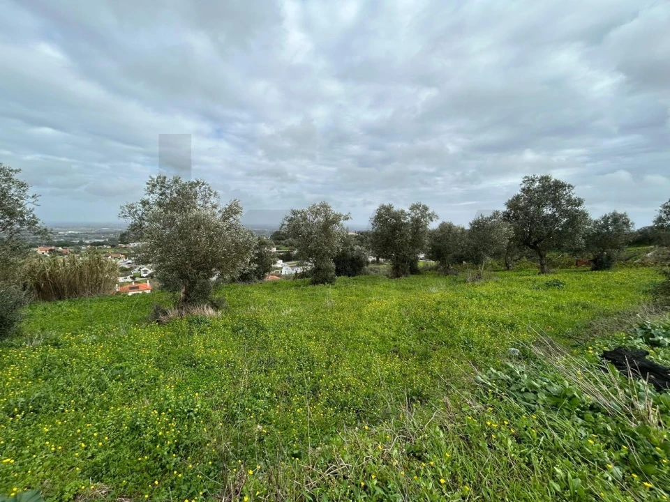 Terreno para Venda em Palmela Foto 4