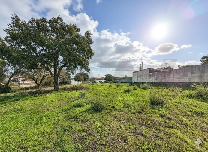 Moradia T4 para Venda em Almoster Foto 27