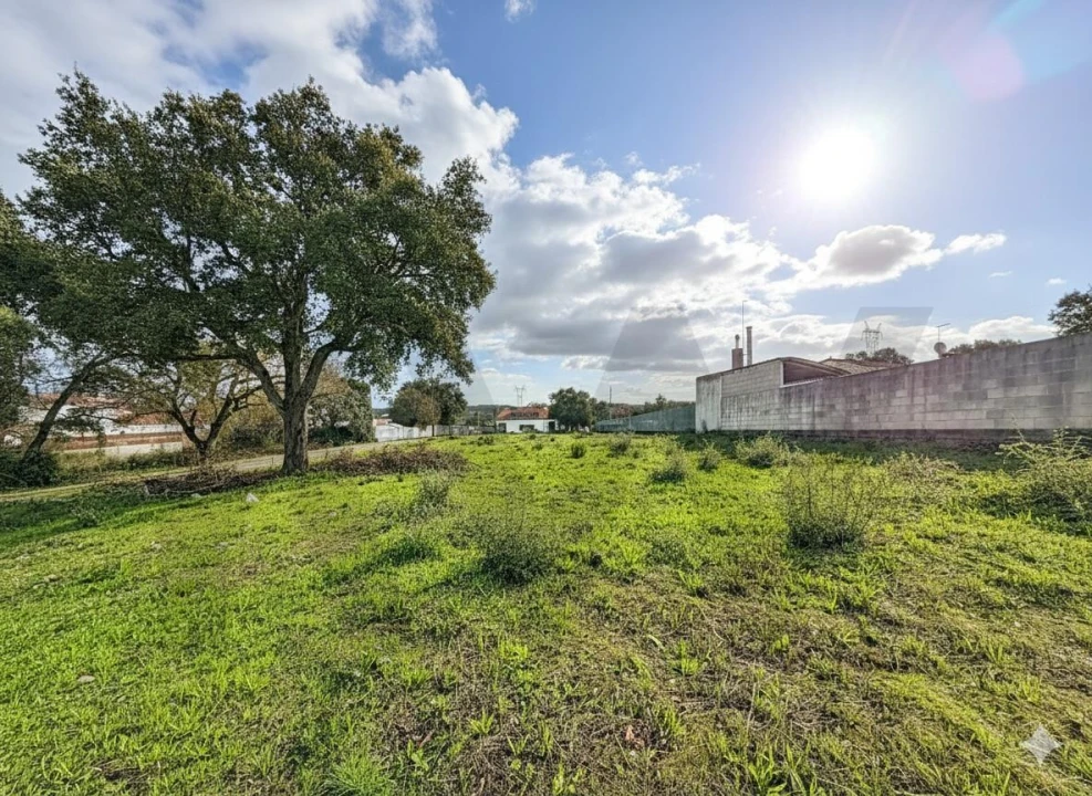 Moradia T4 para Venda em Almoster Foto 27