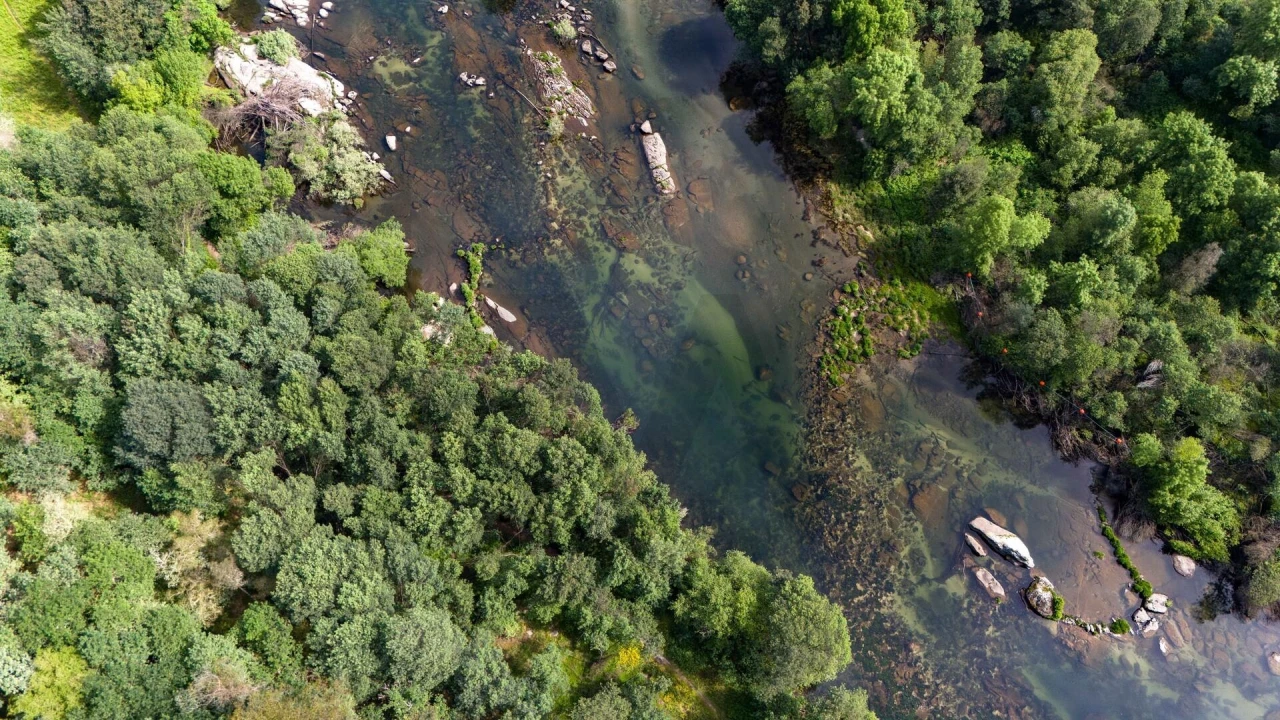 Terreno para Venda em Verim, Friande e Ajude Foto 3