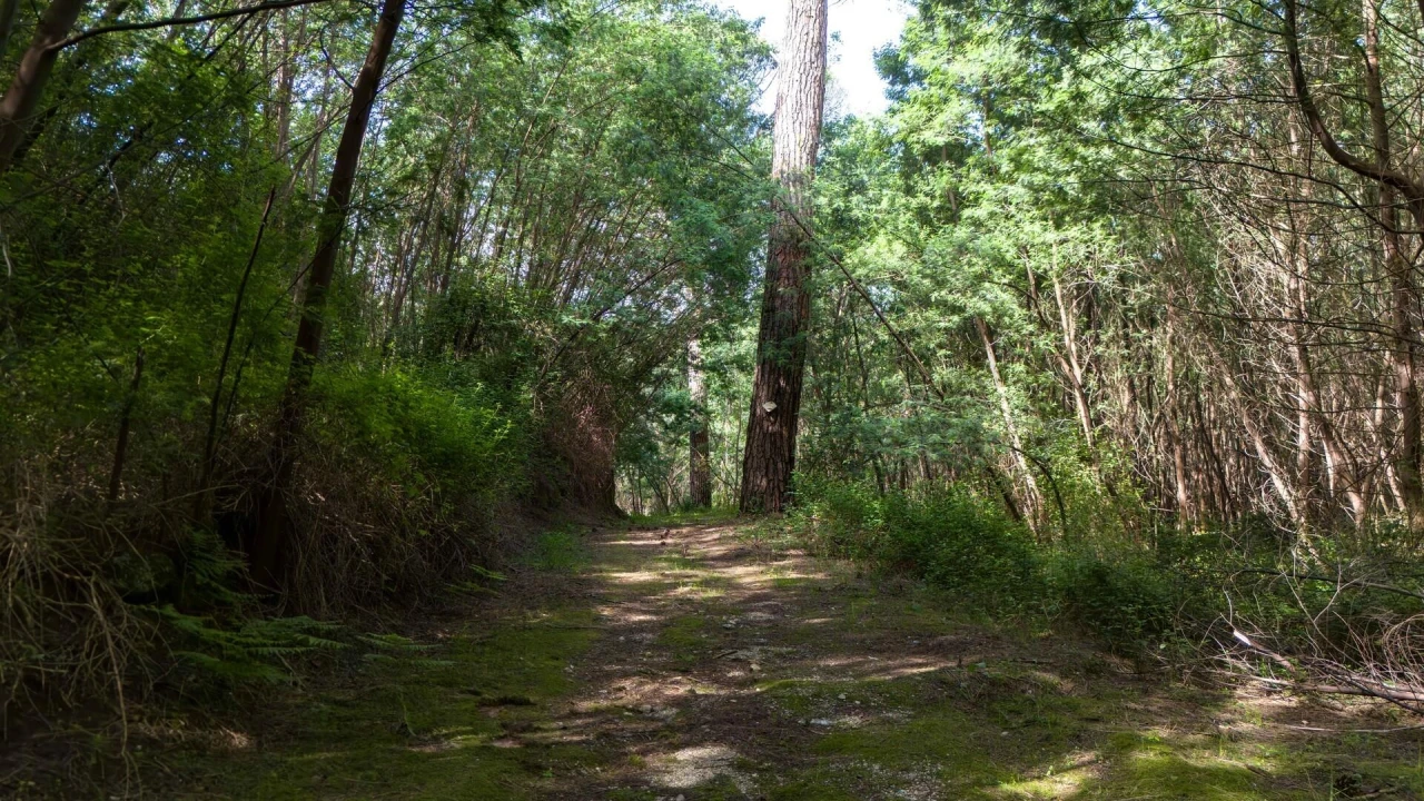 Terreno para Venda em Verim, Friande e Ajude Foto 38