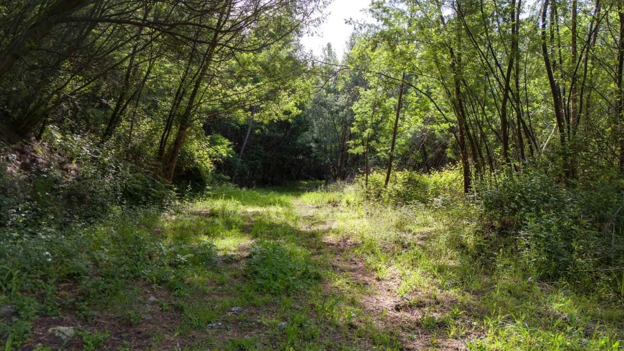 Terreno para Venda em Verim, Friande e Ajude Foto 21