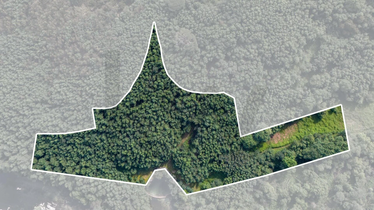 Terreno para Venda em Verim, Friande e Ajude Foto 1