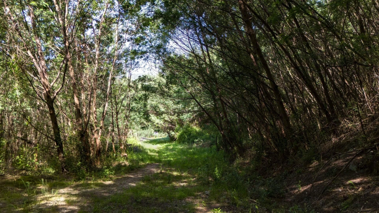 Terreno para Venda em Verim, Friande e Ajude Foto 33