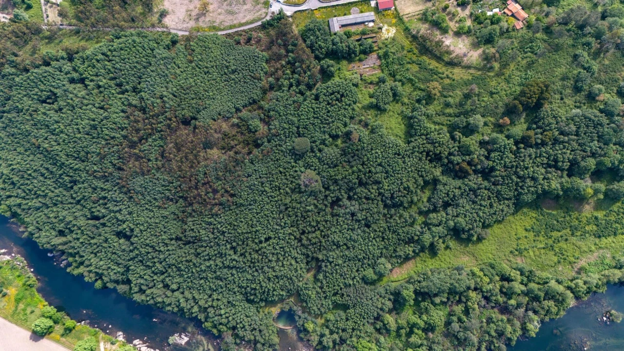 Terreno para Venda em Verim, Friande e Ajude Foto 19