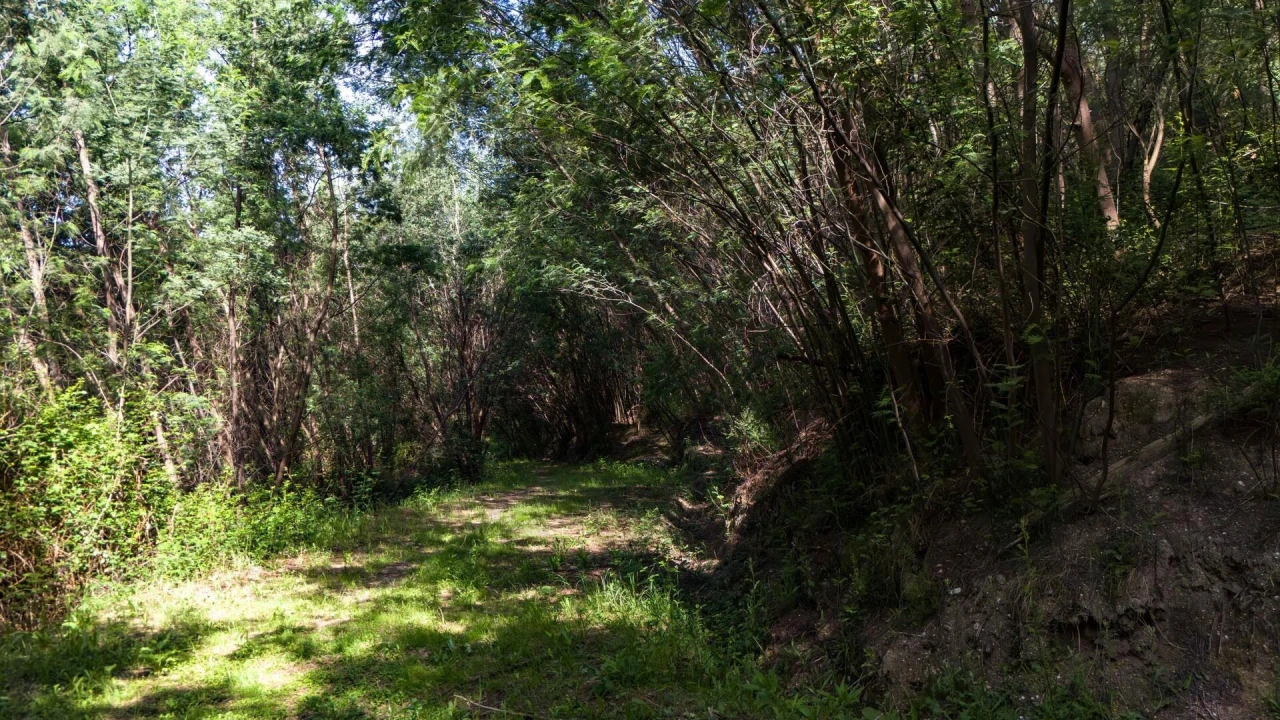 Terreno para Venda em Verim, Friande e Ajude Foto 34