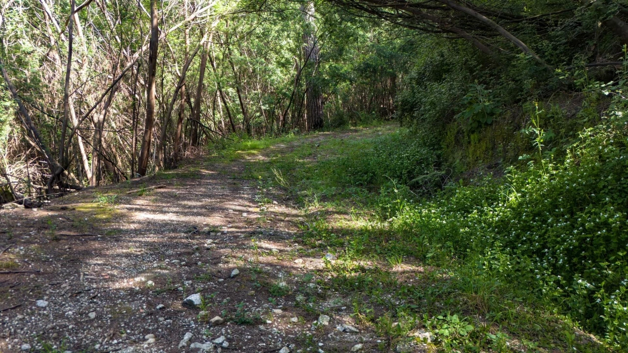Terreno para Venda em Verim, Friande e Ajude Foto 35