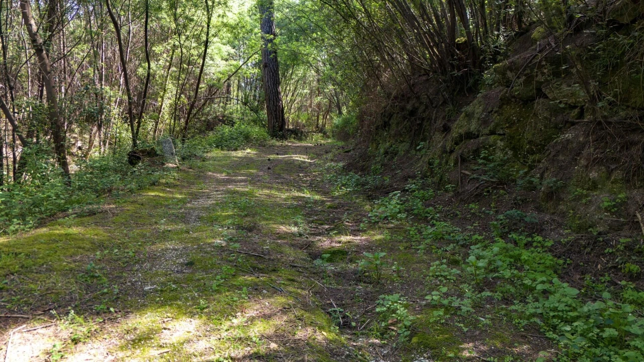Terreno para Venda em Verim, Friande e Ajude Foto 36