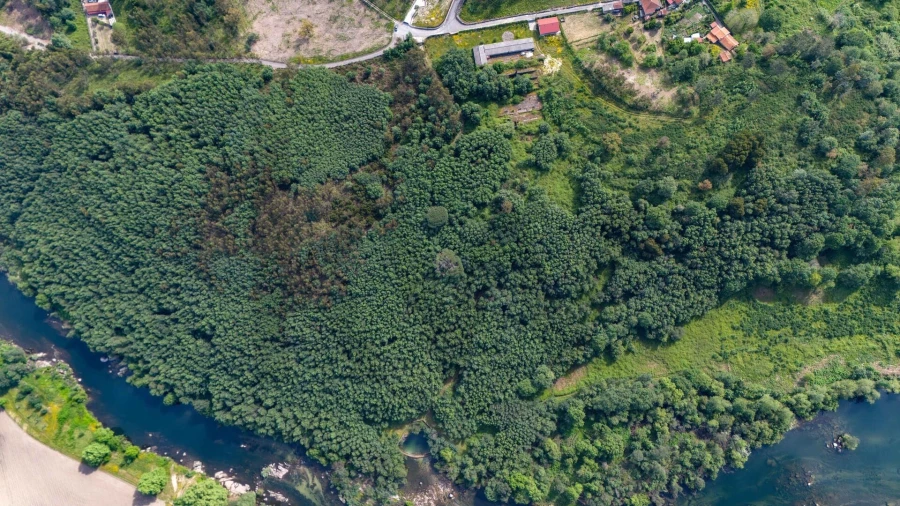 Terreno para Venda em Verim, Friande e Ajude Foto 20