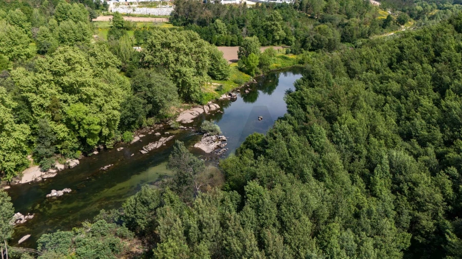 Terreno para Venda em Verim, Friande e Ajude Foto 26