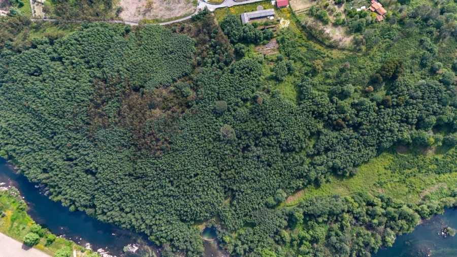 Terreno para Venda em Verim, Friande e Ajude Foto 19