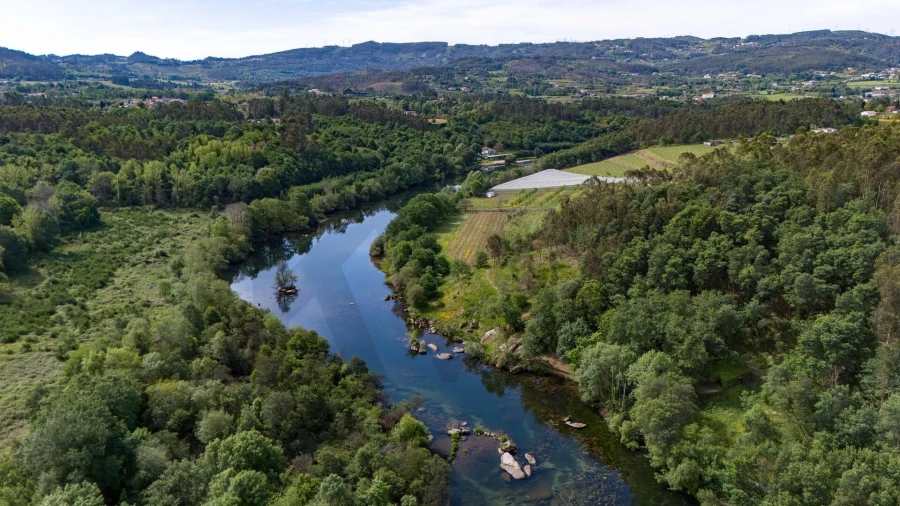 Terreno para Venda em Verim, Friande e Ajude Foto 14