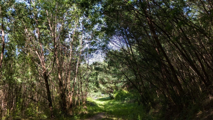 Terreno para Venda em Verim, Friande e Ajude Foto 32