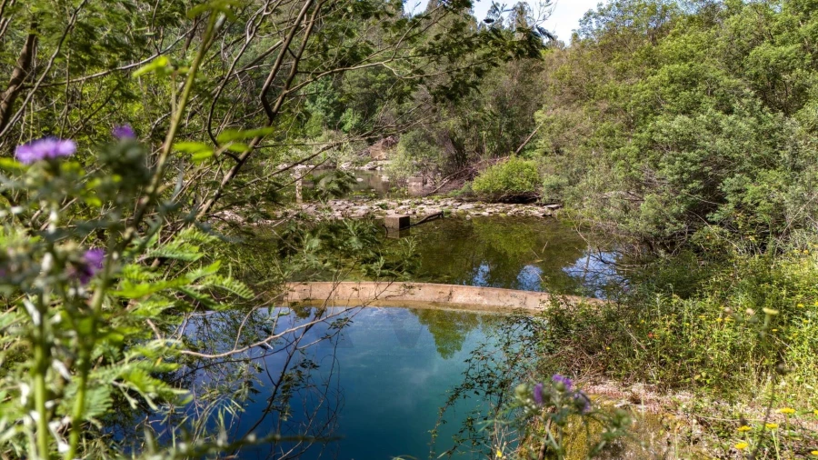 Terreno para Venda em Verim, Friande e Ajude Foto 28