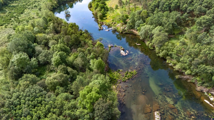 Terreno para Venda em Verim, Friande e Ajude Foto 13